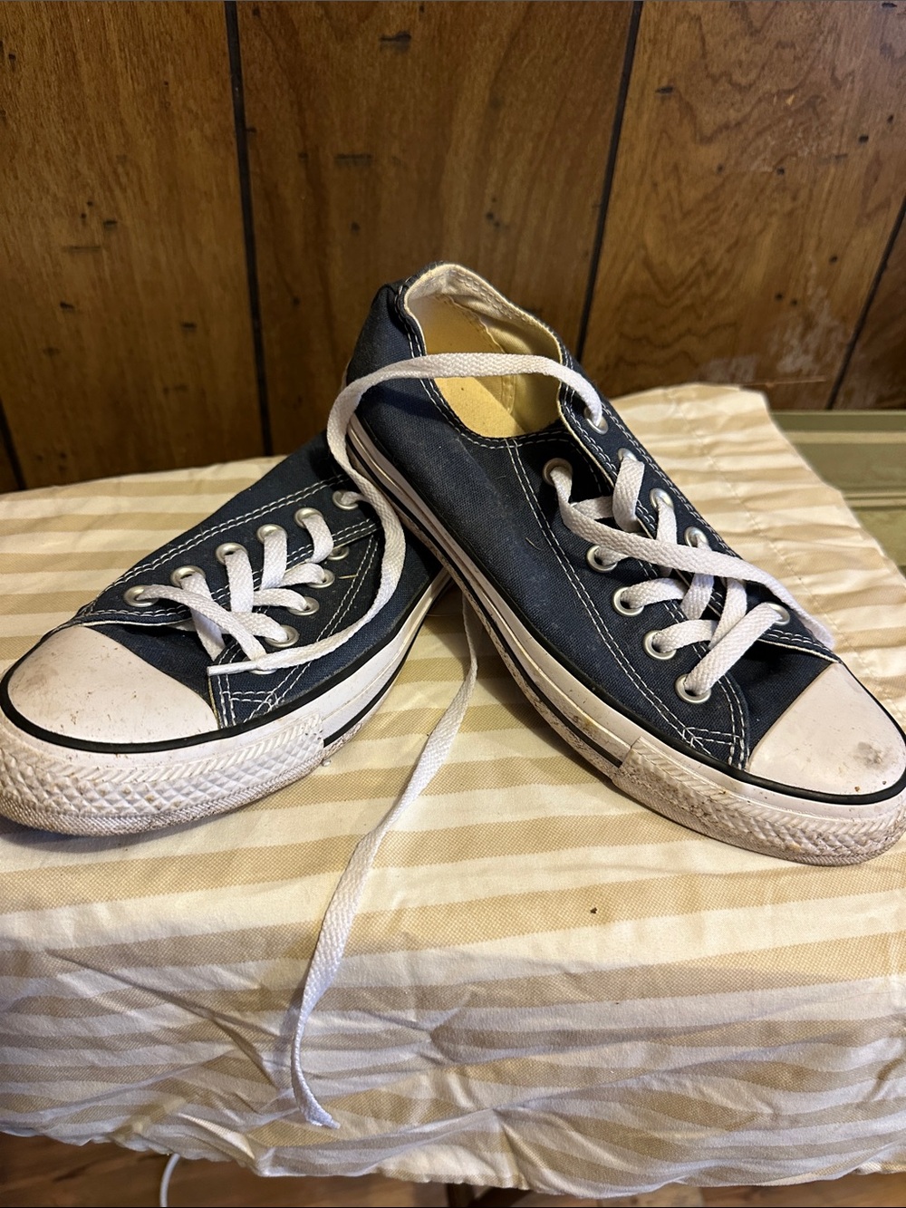 Classic Low-Top Canvas Sneakers in Navy with White Laces